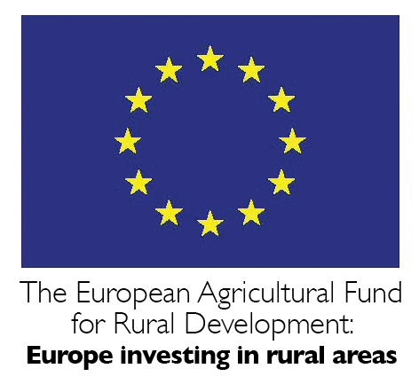 european fund logo